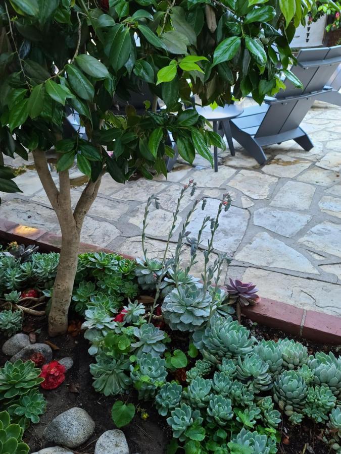 The Vagabond'S House Boutique Inn Carmel-by-the-Sea Exteriér fotografie